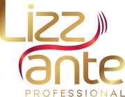 Logo da Loja Lizz Ante